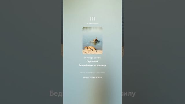 Щенок | Песня, Music