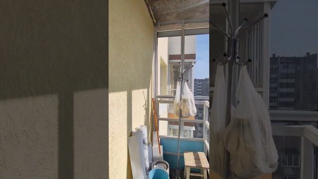 Студия. Тухачевского, 29б
28.3 кв.м.
Цена: 4050000р