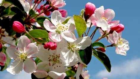 ПОСЫЛКА ПРИШЛА в Ужасном состоянии.