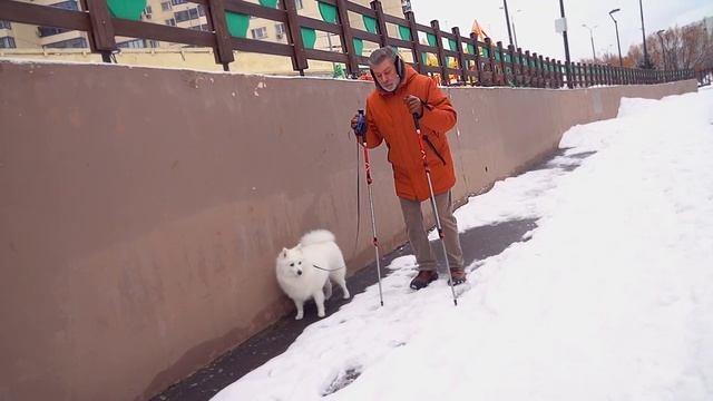 Гололед_ Палки вам в руки! Доброе утро. Фрагмент выпуска от 01.02.2024