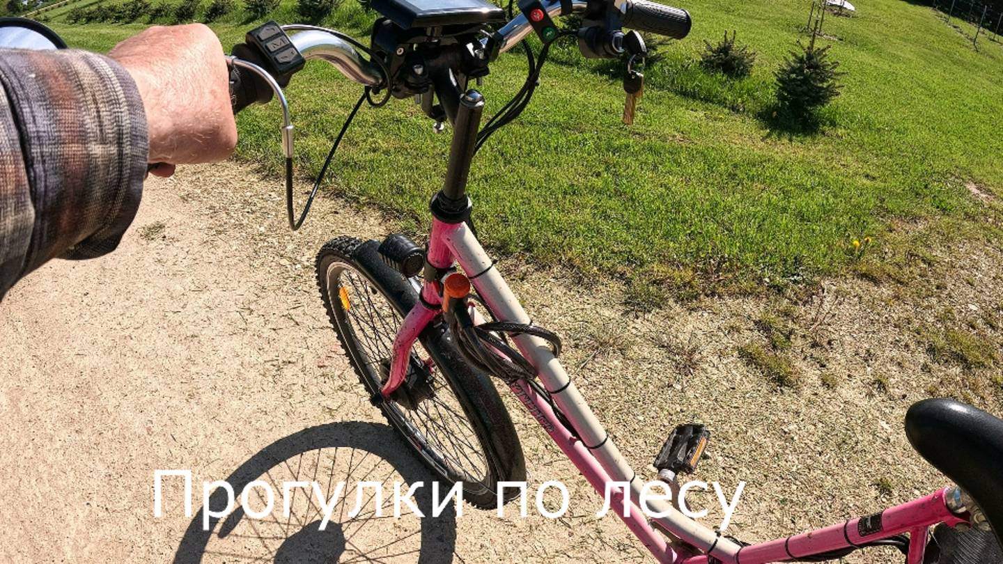 Тестовая поездка в лес без амортизационной вилки и амортизационного подседельного штыря.