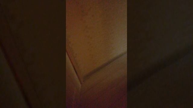 Видео Лёня