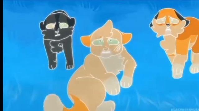 Коты воители мап Sleep Well/Начало видео не мое!