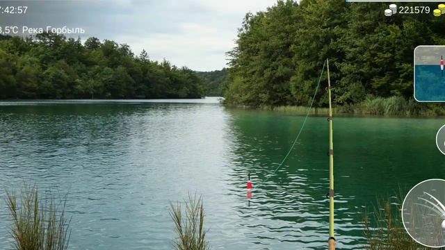 Как поймать Ёрш полосатый в игре My Fishing World