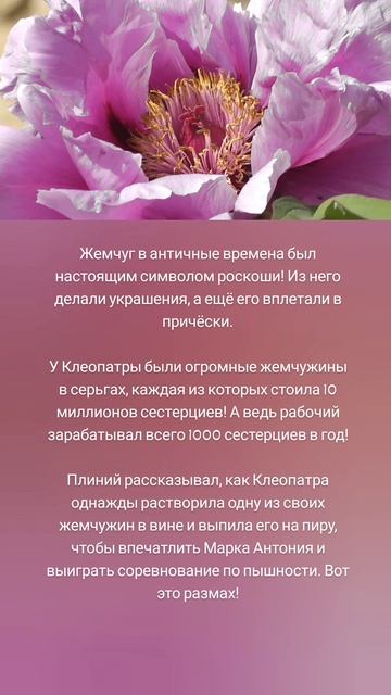 Жемчужины Клеопатры 😲🦪💎