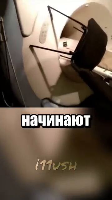 i11ushenka (1313)
