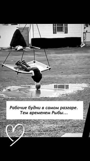 VID_20250522_205917_587.mp4