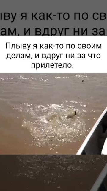 Я же Друг Чебурашки!.. За Что?!.. 🤣