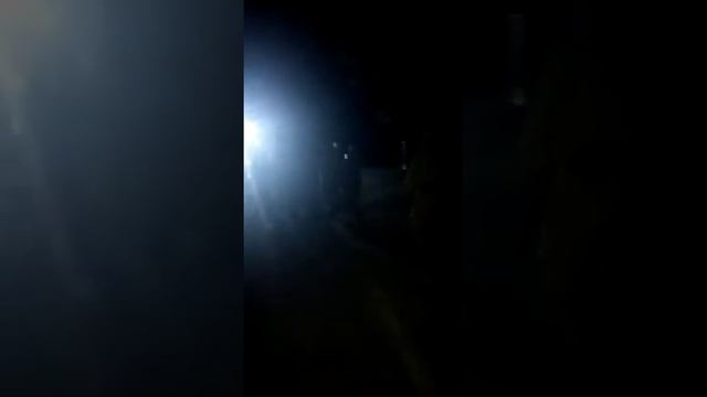 Вечерняя прогулка ВВ МВД КР