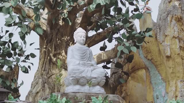 Huyền thoại Thế Tôn - Hoàng Y Nhung