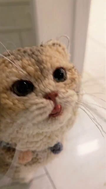 вязанный котик