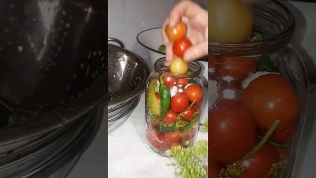 томат черри