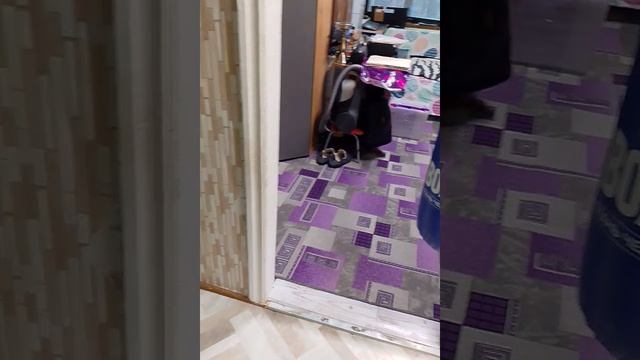 Домашний баскетбол, Адам Кириленко и Руслан Джордан
