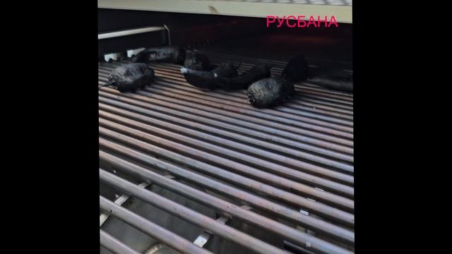 Туннель обжига огнем для перца, баклажан и лука. Миним?