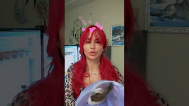 1000065496.mp4