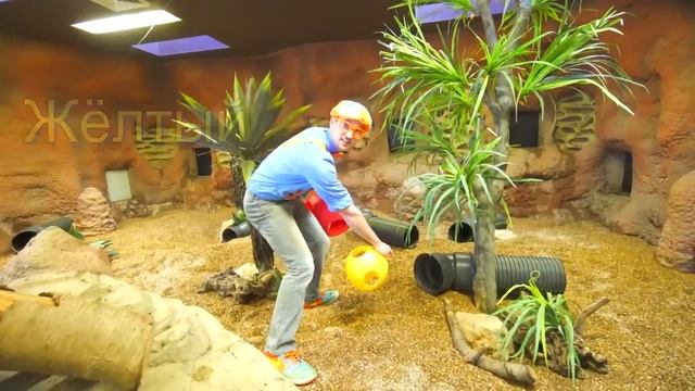 Блиппи (Blippi) - Блиппи идёт в зоопарк   Блиппи на Русском   Изучай этот Мир вместе с Блиппи   Blip