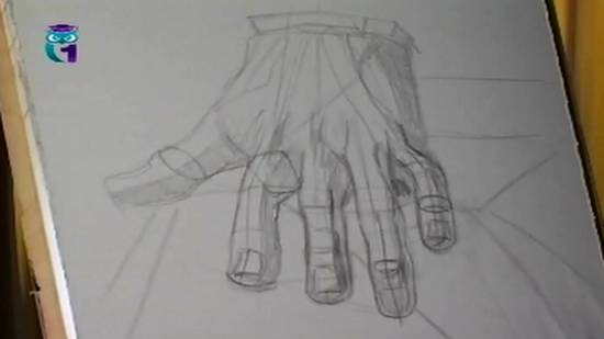 Уроки рисования # 16. Рисуем кисть руки человека. Часть 1