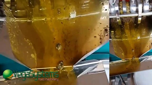 Маслопресс шнековый Vega Screw Oil Press H30