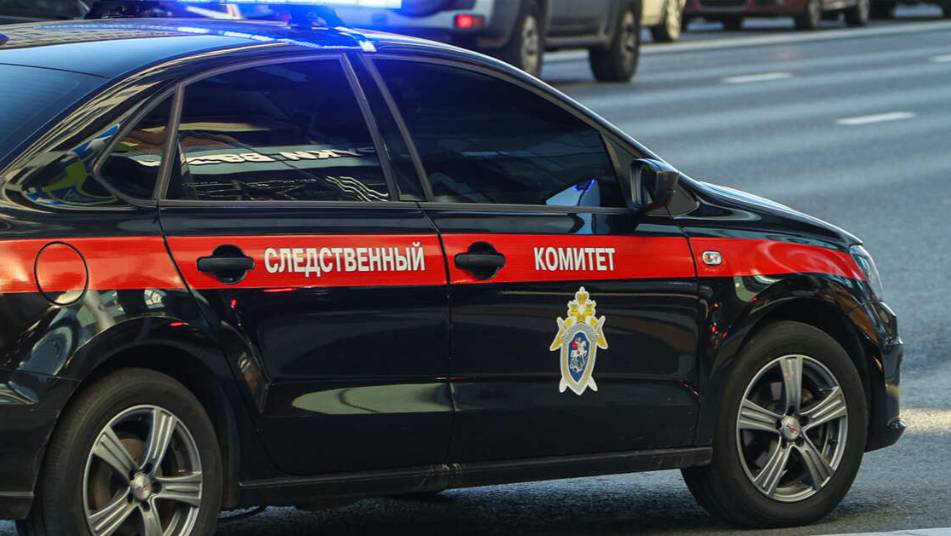 В России создана программа для построения портрета серийного преступника