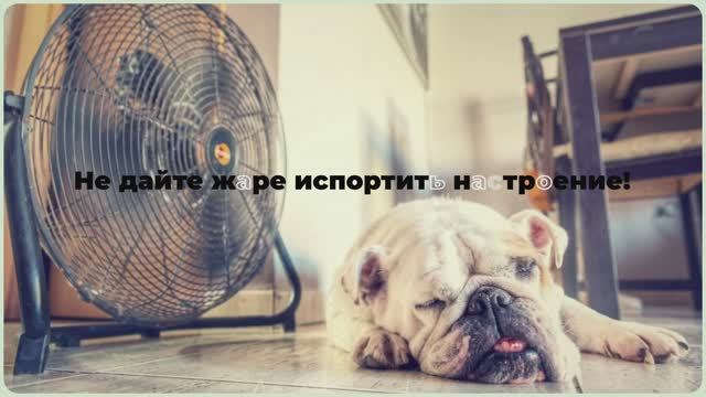 Вентиляторы в магазине «Авангард» г.Ярославль, пр.Авиаторов, 159. Постоянная скидка 7% пенсионерам