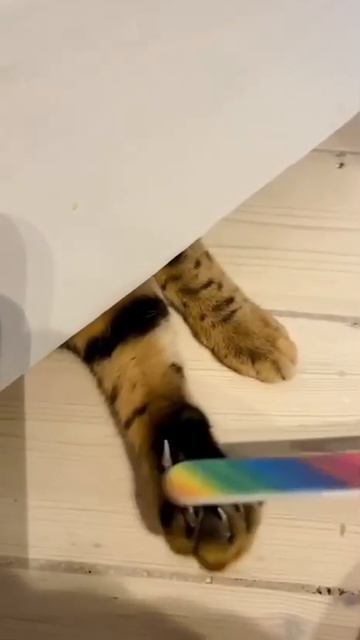 Вот и педикюр подоспел😜