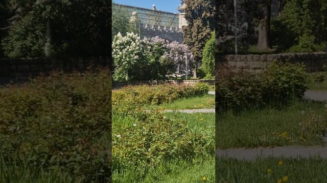 Голицынский пруд. Май. Скоро лето !