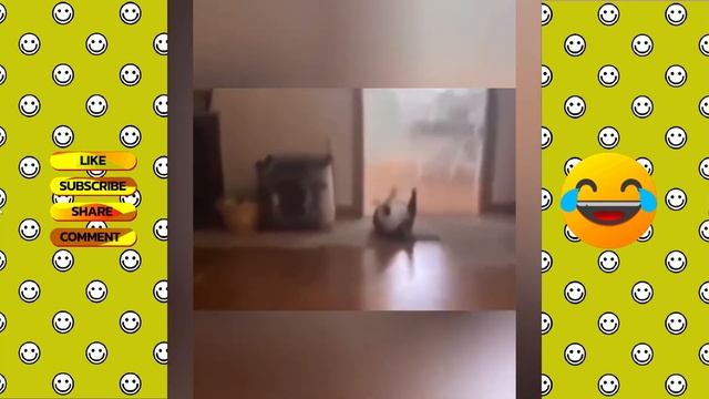Самые смешные животные. (The FUNNIEST pet videos of the year)

#Развлекательно
#Юмор
#Природа
