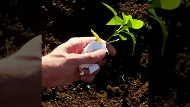 советы и хитрости для дачи