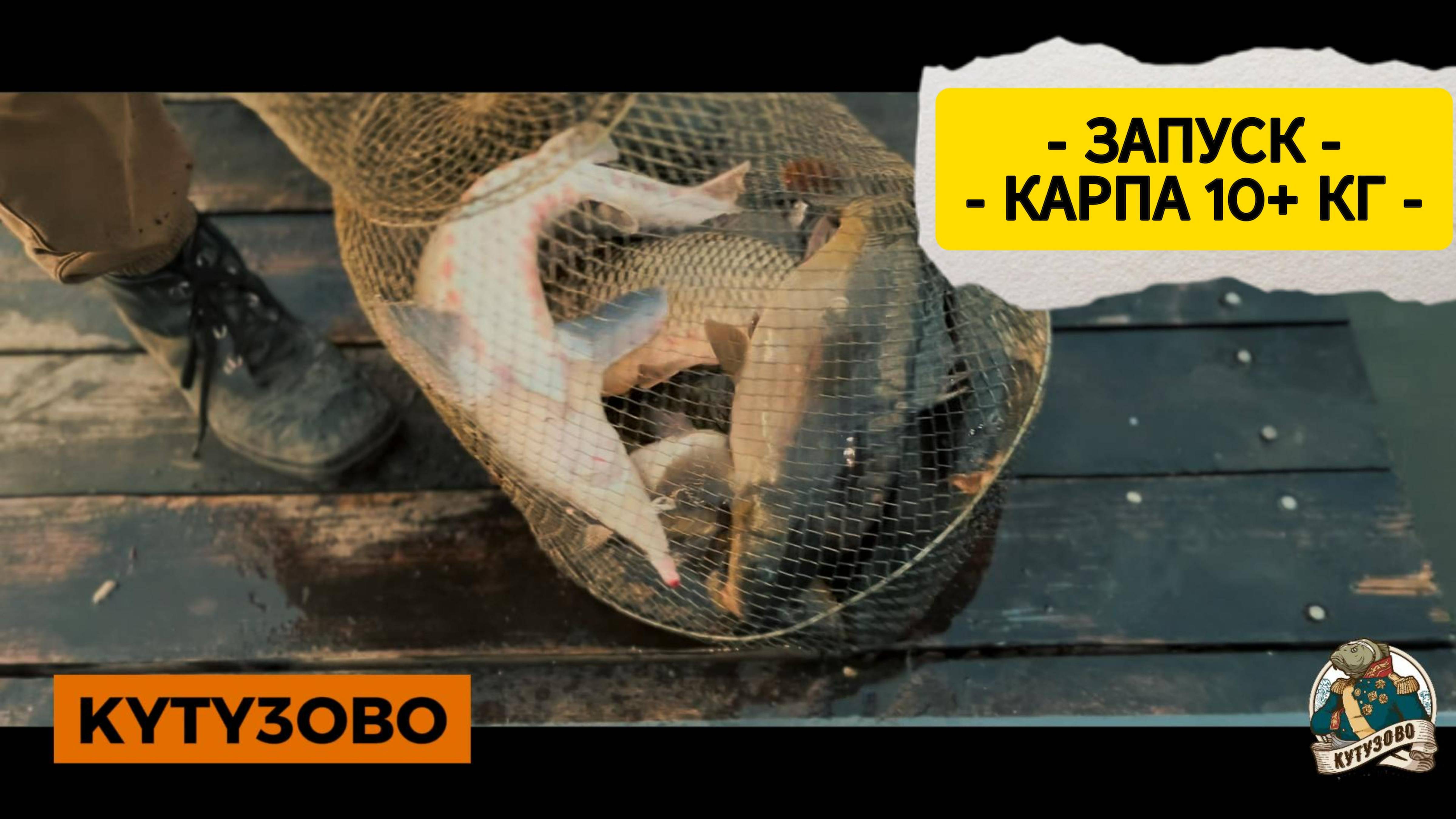 ЗАПУС КАРПА И БИГИ 10+