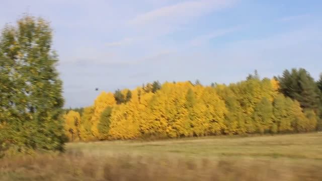 Осень.  Прекрасные виды за окном дорога Кытлым- Карпинск Краснотуринск.
