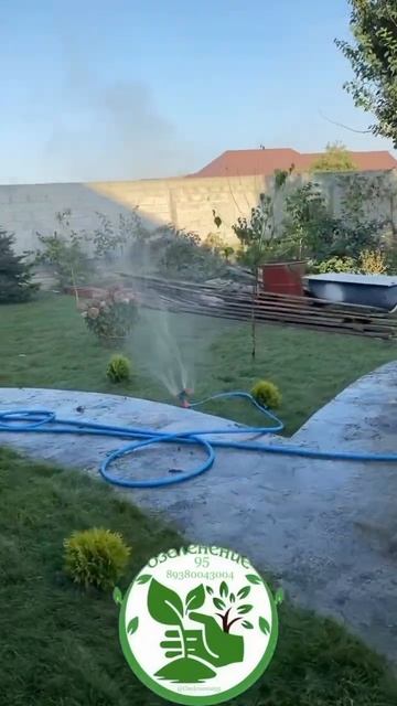 Растения 🌱 и живой газон 🏡 двор под 🔐 #shorts #reels #top #garde