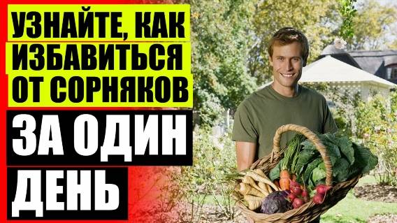 ❕ Подкормка огурцов во время плодоношения ⛔ Купить отраву от сорняков ⚫