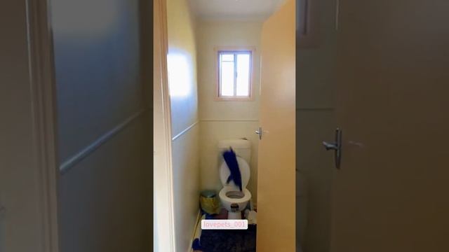 минус одна жизнь