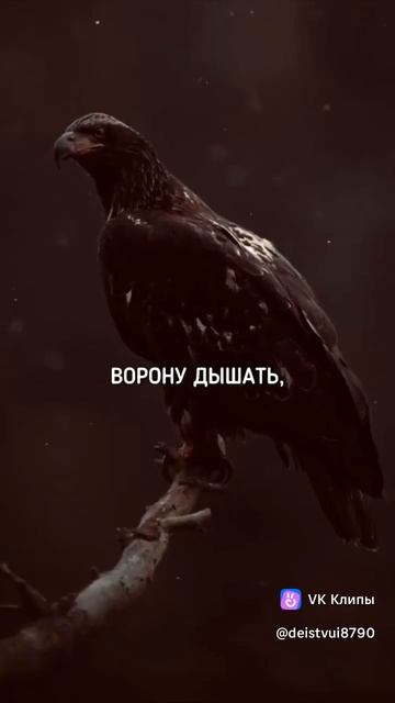 22-05-2025
