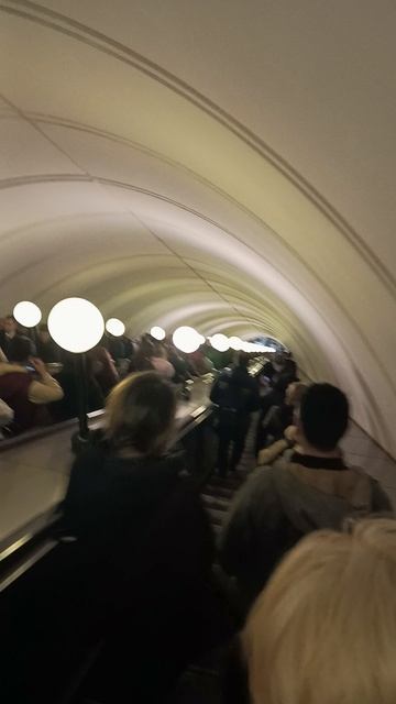 Москва2024