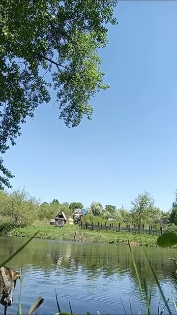 заплыв 2