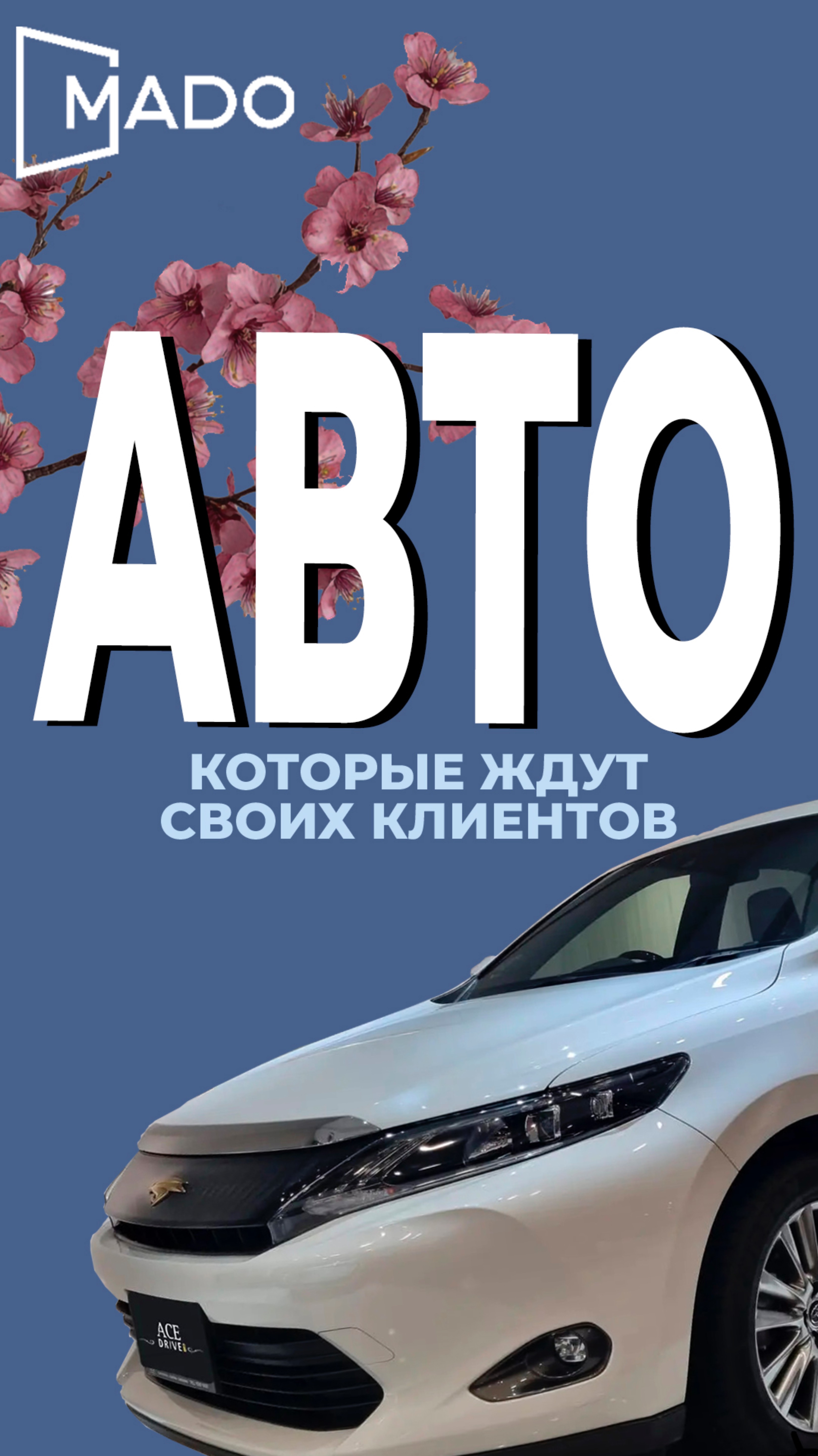 🎥 Краткий видеообзор от Софы: машины, которые уже едут к своим владельцам!