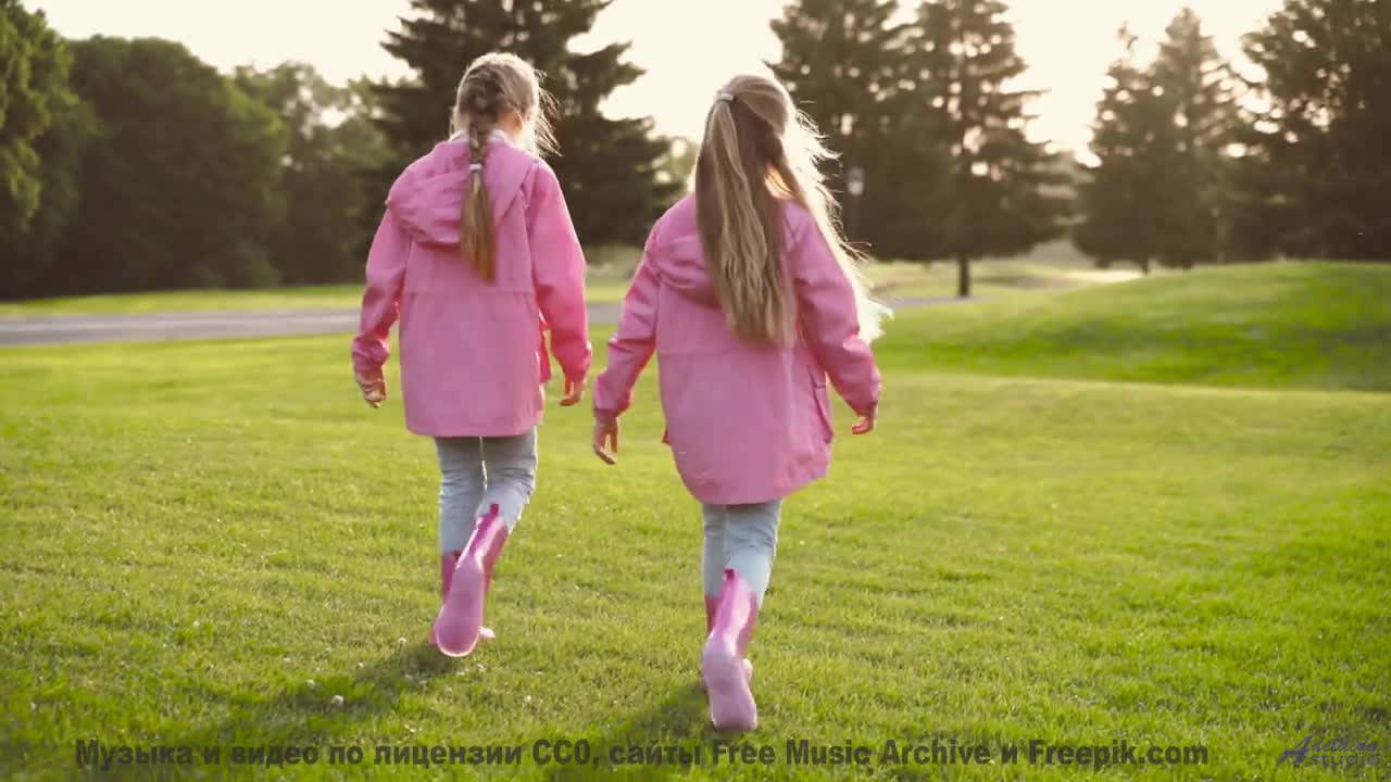 Звуки, которые могут перезагрузить ваш мозг - попробуйте! - Daisy (EDM  Instrumental) -- Zight -- Un