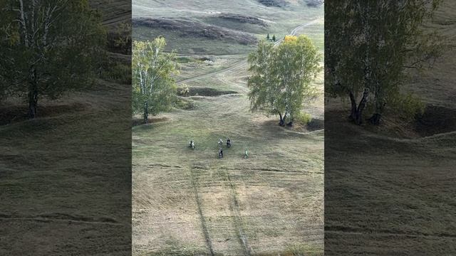 Воспоминания в фото 2024