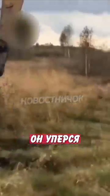 Новостничок (463)