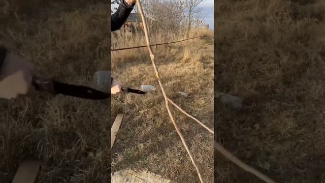 Мини коламбия. Тест 🥶