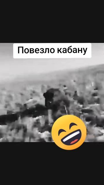повезло
