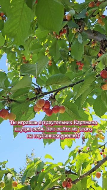 Ты играешь в треугольник Карпмана внутри себя. Как выйти из этого на глубинном уровне?