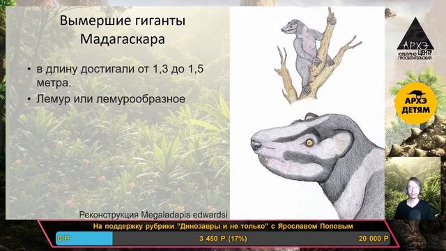 Занятие "Эволюция приматов: от истоков до современнос?