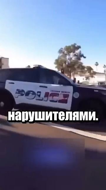 i11ushenka (16)