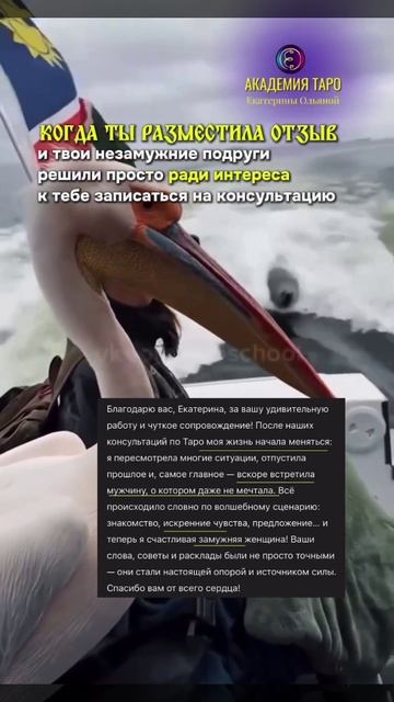 1000015440.mp4