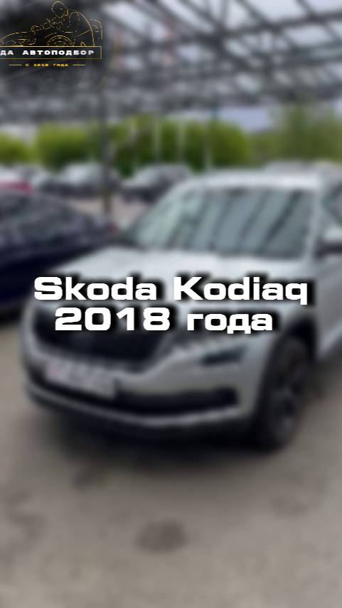 Проверили для клиента Skoda Kodiaq