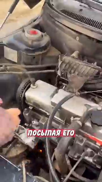 Новостничок (472)