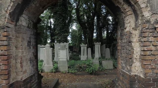 10632951-hd_3840_2160_25fps