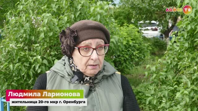Мой двор - мой сад